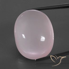 59.07ct 天然 ライトピンク ローズクォーツ, 楕円形, 透明