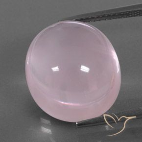 18.33ct 天然 バブルガムピンク ローズクォーツ, 楕円形, 透明/半透明