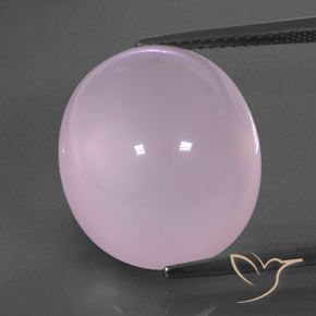 18.62ct 天然 ライトピンク ローズクォーツ, 楕円形, 透明/半透明