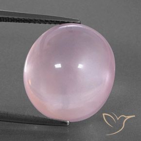 15.81ct 天然 バブルガムピンク ローズクォーツ, 楕円形, 透明/半透明