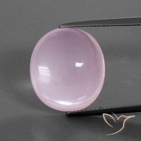 19.21ct 天然 ライトピンク ローズクォーツ, 楕円形, 透明