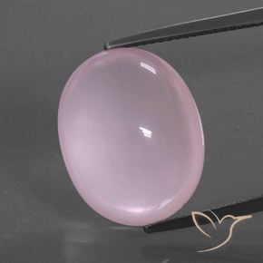 15.78ct 天然 バブルガムピンク ローズクォーツ, 楕円形, 透明