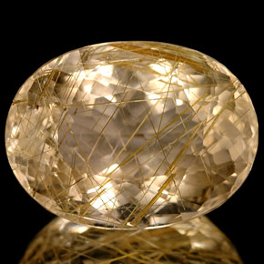 15.46カラットの天然無色＆ゴールドルチルクォーツ（18.3×13.7 mm・透明）