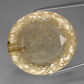 95.96カラットの天然無色＆ゴールドルチルクォーツ（29.2×26.5 mm・透明）