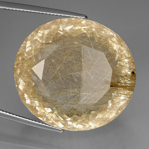 95.96カラットの天然無色＆ゴールドルチルクォーツ（29.2×26.5 mm・透明）