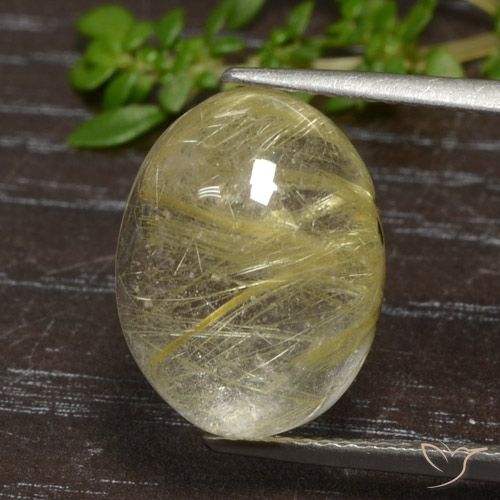 9.93ct 天然 非常に薄いゴールデンブラウン ルチルクォーツ, 楕円形, 透明