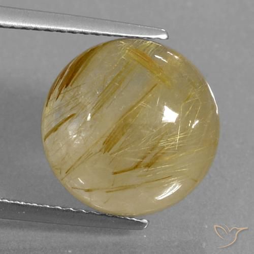 9.04ct 天然 ディジョンイエロー ルチルクォーツ, ラウンド, 透明