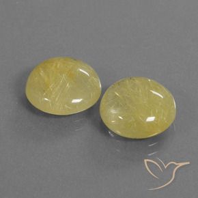 Shop natural 8.43ct 非常に薄いディジョンイエロー ルチルクォーツ gems, ラウンド, from インド at GemSelect. In stock, global shipping!