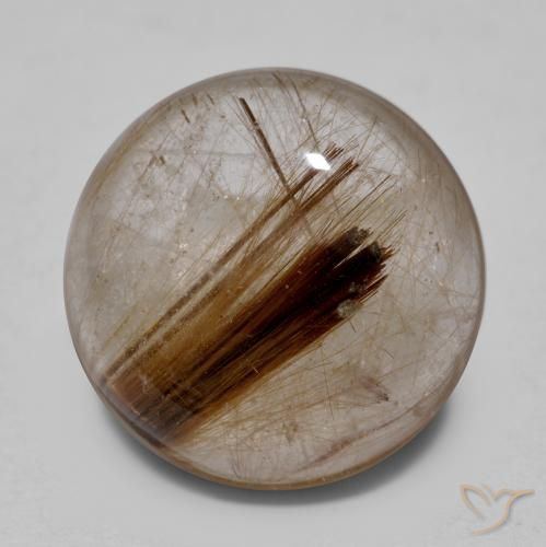 8.25ct 天然 黒で茶色 ルチルクォーツ, ラウンド, 透明