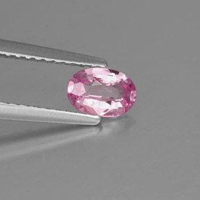 0.50カラットの天然ピンクサファイア（5.9×4.1 mm・オーバルカット）