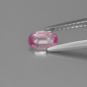 0.50カラットの天然ピンクサファイア（5.9×4.1 mm・オーバルカット）