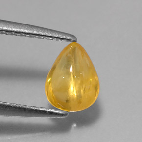 0.79カラットの天然ゴールデンイエローサファイア（6.3×5 mm・透明）