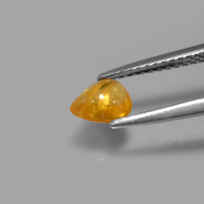 0.75カラットの天然ゴールデンイエローサファイア（6.2×4.8 mm・透明）