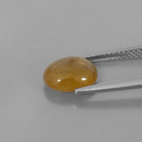 2.72カラットの天然ゴールデンイエローサファイア（9.1×7.2 mm・透明）