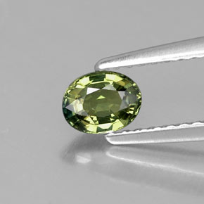 0.51カラットの天然黄色がかった緑サファイア（5.2×4.1 mm・オーバルカット）