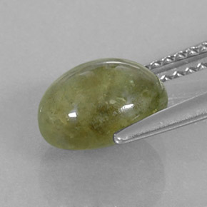 3.17カラットの天然黄色がかった緑サファイア（8.7×7 mm・透明）