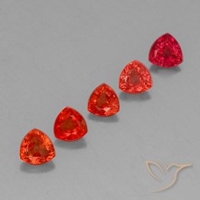 Shop natural 1.77ct 明るいクリムゾンレッド サファイア gems, トリリオン, from タンザニア at GemSelect. In stock, global shipping!