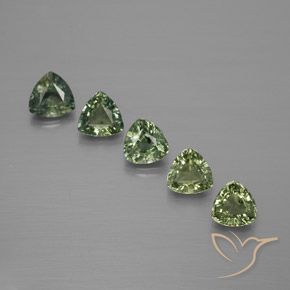 Shop natural 1.67ct 薄いフォレストグリーン サファイア gems, トリリオン, from タンザニア at GemSelect. In stock, global shipping!