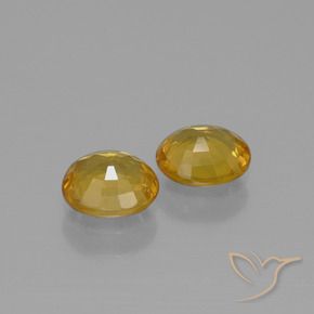 Shop natural 1.52ct ミディアムダークゴールデン サファイア gems, 楕円形, from タンザニア at GemSelect. In stock, global shipping!