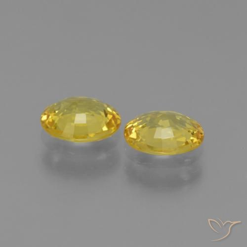 Shop natural 1.31ct ミディアムイエロー サファイア gems, 楕円形, from タンザニア at GemSelect. In stock, global shipping!