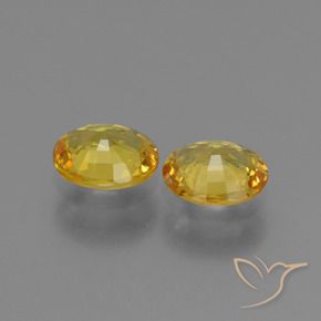 Shop natural 1.42ct ゴールド サファイア gems, 楕円形, from タンザニア at GemSelect. In stock, global shipping!
