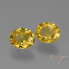 Shop natural 1.49ct ゴールド サファイア gems, 楕円形, from タンザニア at GemSelect. In stock, global shipping!