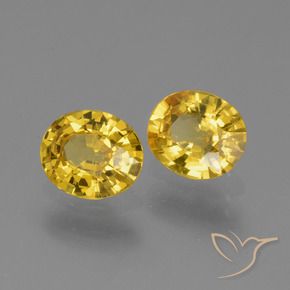 Shop natural 1.39ct 深い黄色 サファイア gems, 楕円形, from タンザニア at GemSelect. In stock, global shipping!