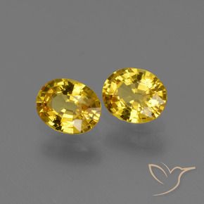 Shop natural 1.43ct ハニーイエロー サファイア gems, 楕円形, from タンザニア at GemSelect. In stock, global shipping!