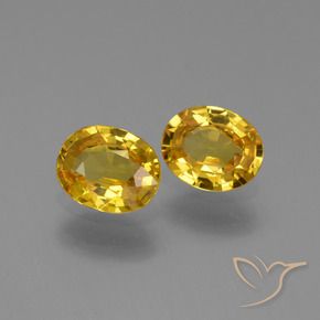 Shop natural 1.31ct ゴールド サファイア gems, 楕円形, from タンザニア at GemSelect. In stock, global shipping!
