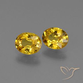 Shop natural 1.29ct ゴールド サファイア gems, 楕円形, from タンザニア at GemSelect. In stock, global shipping!