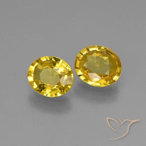 Shop natural 1.30ct 薄いハニーイエロー サファイア gems, 楕円形, from タンザニア at GemSelect. In stock, global shipping!
