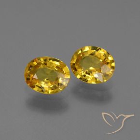 Shop natural 1.30ct 深い黄色 サファイア gems, 楕円形, from タンザニア at GemSelect. In stock, global shipping!