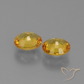Shop natural 1.44ct ゴールド サファイア gems, 楕円形, from タンザニア at GemSelect. In stock, global shipping!