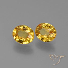 Shop natural 1.30ct ゴールド サファイア gems, 楕円形, from タンザニア at GemSelect. In stock, global shipping!