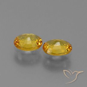 Shop natural 1.36ct ゴールド サファイア gems, 楕円形, from タンザニア at GemSelect. In stock, global shipping!