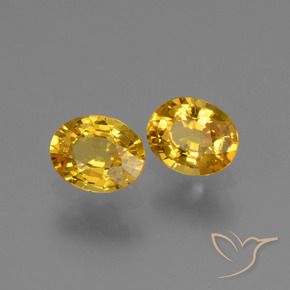 Shop natural 1.42ct ゴールド サファイア gems, 楕円形, from タンザニア at GemSelect. In stock, global shipping!