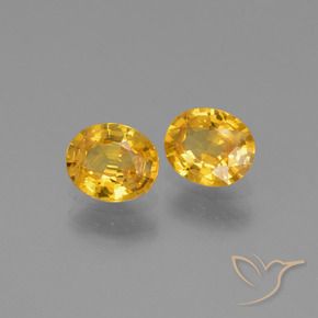 Shop natural 1.44ct ダークゴールデン サファイア gems, 楕円形, from タンザニア at GemSelect. In stock, global shipping!