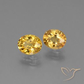 Shop natural 1.49ct ダークゴールデン サファイア gems, 楕円形, from タンザニア at GemSelect. In stock, global shipping!