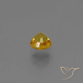 0.65カラットの天然ゴールドサファイア、ラウンド、VVS-VS
