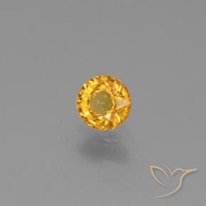 0.62カラットの天然ダークゴールデンサファイア、ラウンド、VVS
