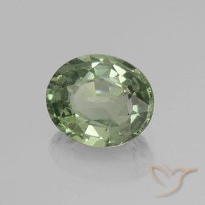 0.83カラットの天然Medium Light Greenサファイア、楕円形、VVS-VS