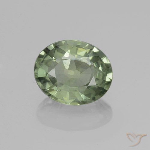 0.81ct 天然 フォレストグリーン サファイア, 楕円形, VVS-VS