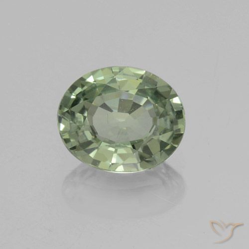 0.72ct 天然 フォレストグリーン サファイア, 楕円形, VVS