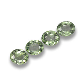 自然派の商品を探す 3.02ct Medium Light Green サファイア 宝石, オーバルカット, タンザニア からGemSelectで. 在庫あり、世界各国へ発送!