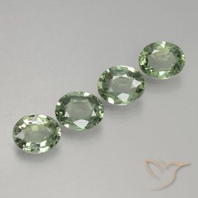 Shop natural 2.80ct Medium Light Green サファイア gems, 楕円形, from タンザニア at GemSelect. In stock, global shipping!