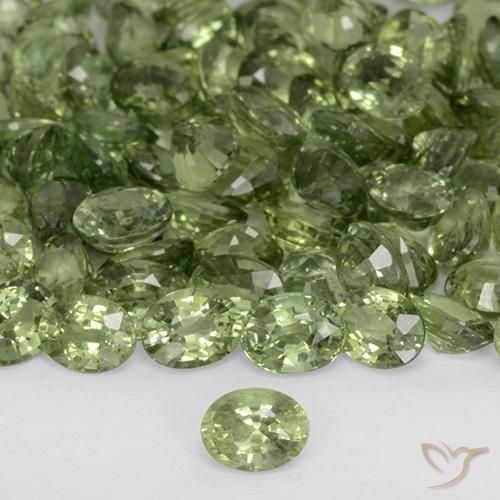0.24ct 天然 ディープグリーン サファイア, 楕円形, VVS-VS
