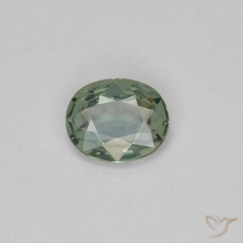 0.59ct 天然 緑がかった灰色 サファイア, 楕円形, VVS-VS