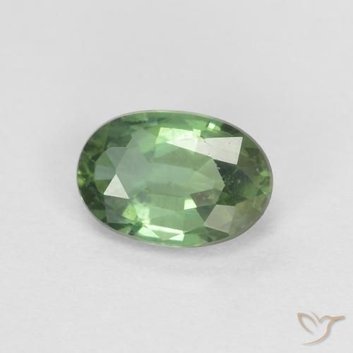 0.53ct 天然 フォレストグリーン サファイア, 楕円形, VVS-VS