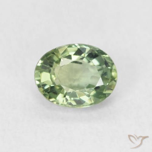 0.60ct 天然 フォレストグリーン サファイア, 楕円形, VVS