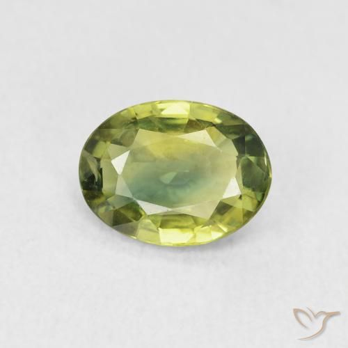 1.51ct 天然 薄いフォレストグリーン サファイア, 楕円形, VVS-VS